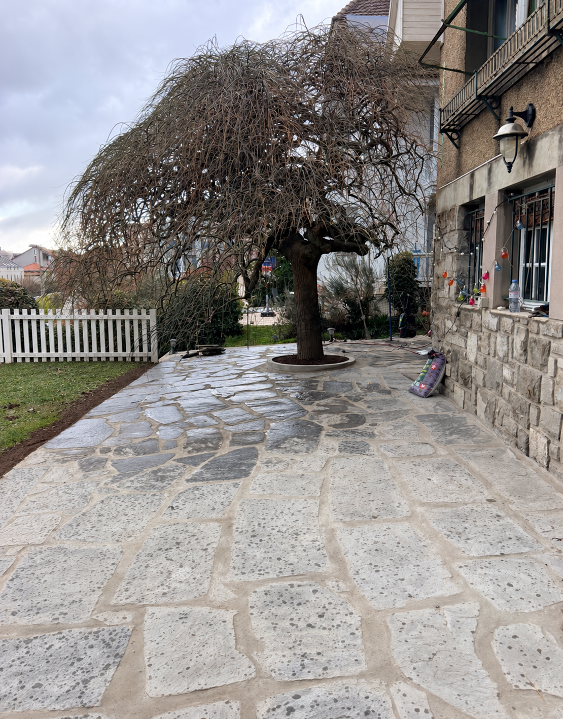Terrasse en pierre naturelle et arbre